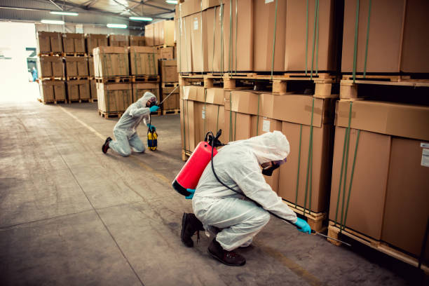 Best Pest Control for Homes  in Northwest Harwinton, CT