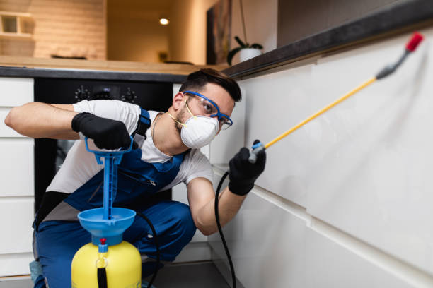 Best Pest Control for Businesses  in Northwest Harwinton, CT