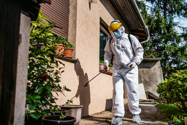 Best Best Pest Control Companies  in Northwest Harwinton, CT