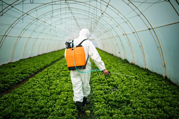 Best Residential Pest Control  in Northwest Harwinton, CT