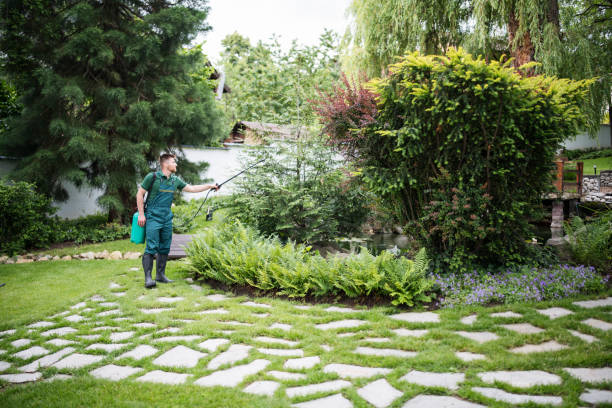 Best Pest Removal Services  in Northwest Harwinton, CT
