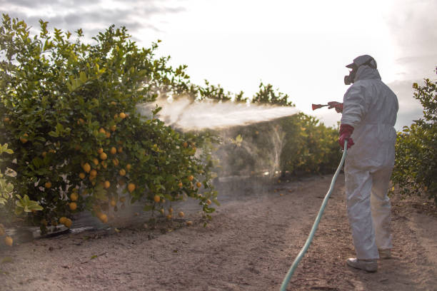 Wildlife Control Services in Northwest Harwinton, CT