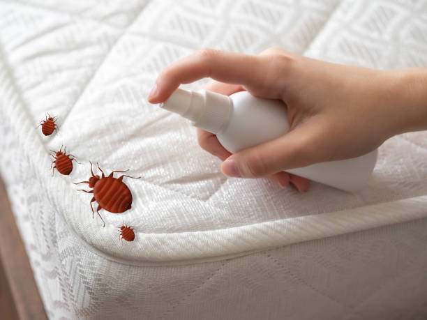 Best Flea Control Services  in Northwest Harwinton, CT
