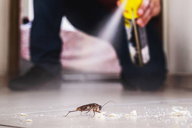 Best Commercial Pest Control Services  in Northwest Harwinton, CT